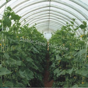 Experienced and Elegant Multi-Span Tunnel Green House